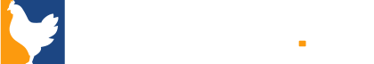 chickengg